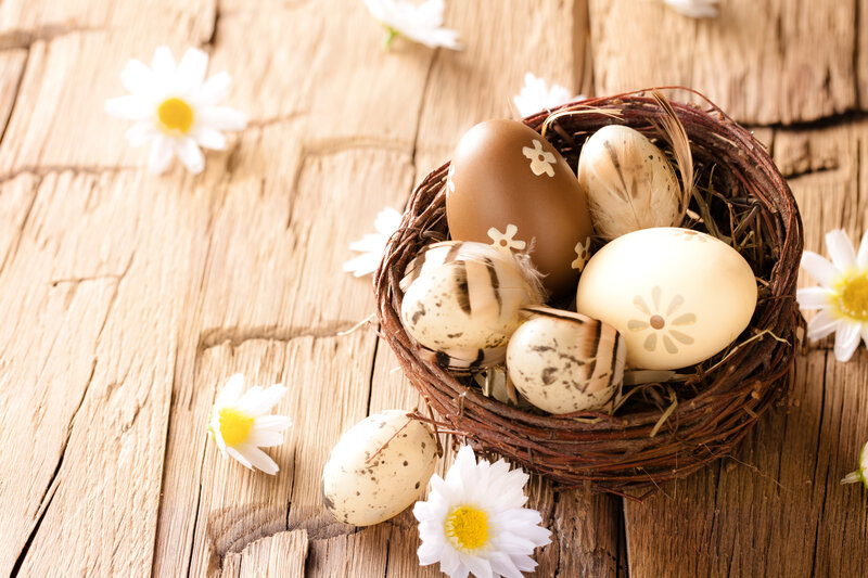 Decorated Eggs in Nest — Brown, Serene