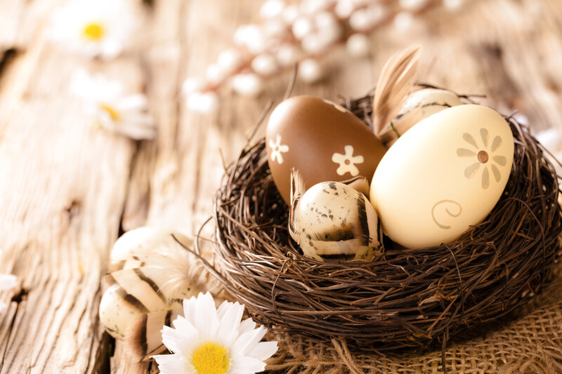 Decorated Eggs in Nest — Brown