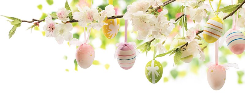 Decorated Eggs on Blossoms