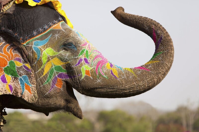 Decorated Elephant — Brown