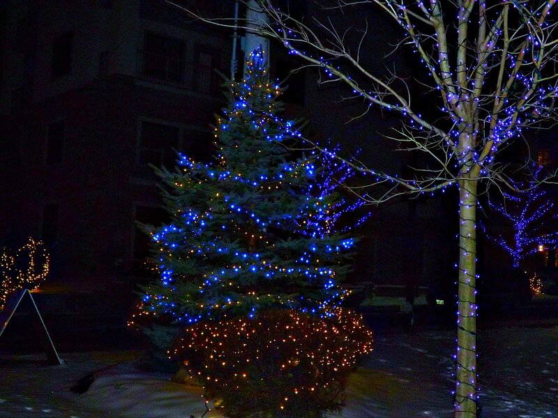 Decorated Evergreen Tree