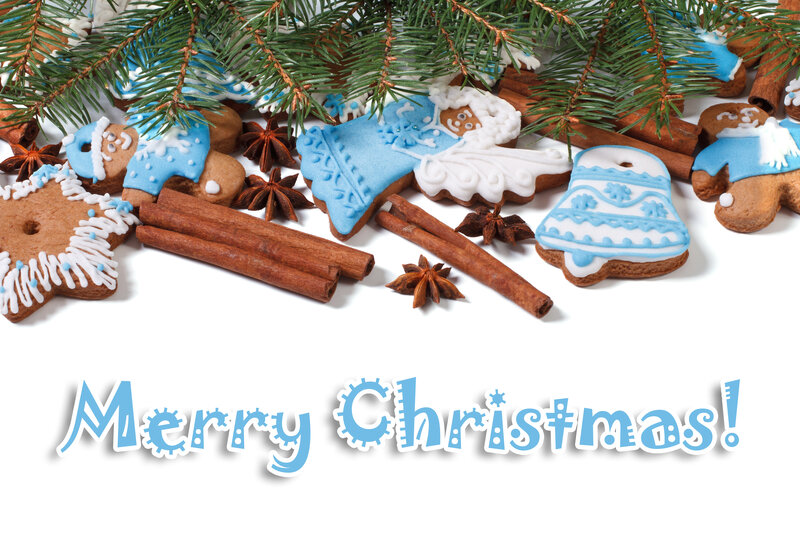 Decorated Gingerbread Cookies — White, Festive, Winter, Photograph, Pine Branches