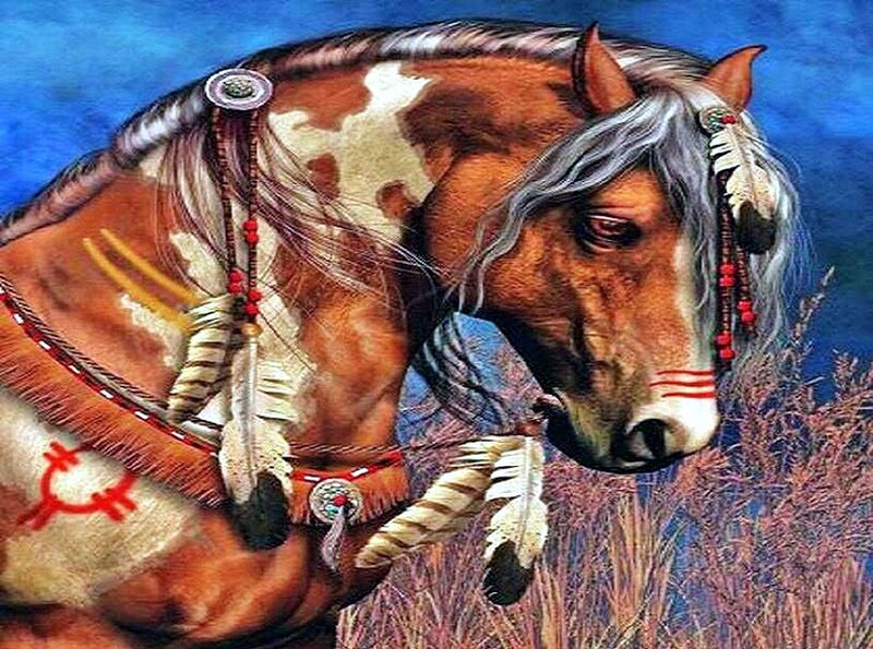 Decorated Horse in Field