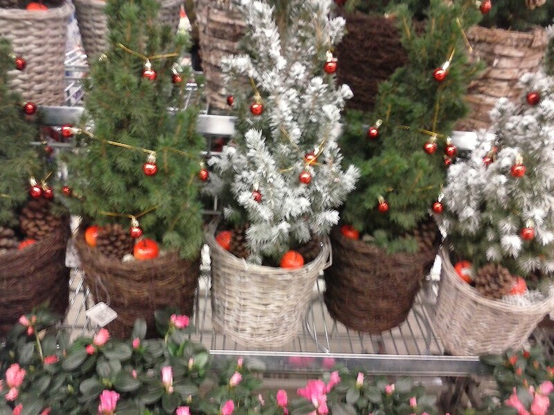 Decorated Miniature Trees