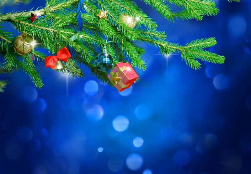 Decorated Pine Branch — Green