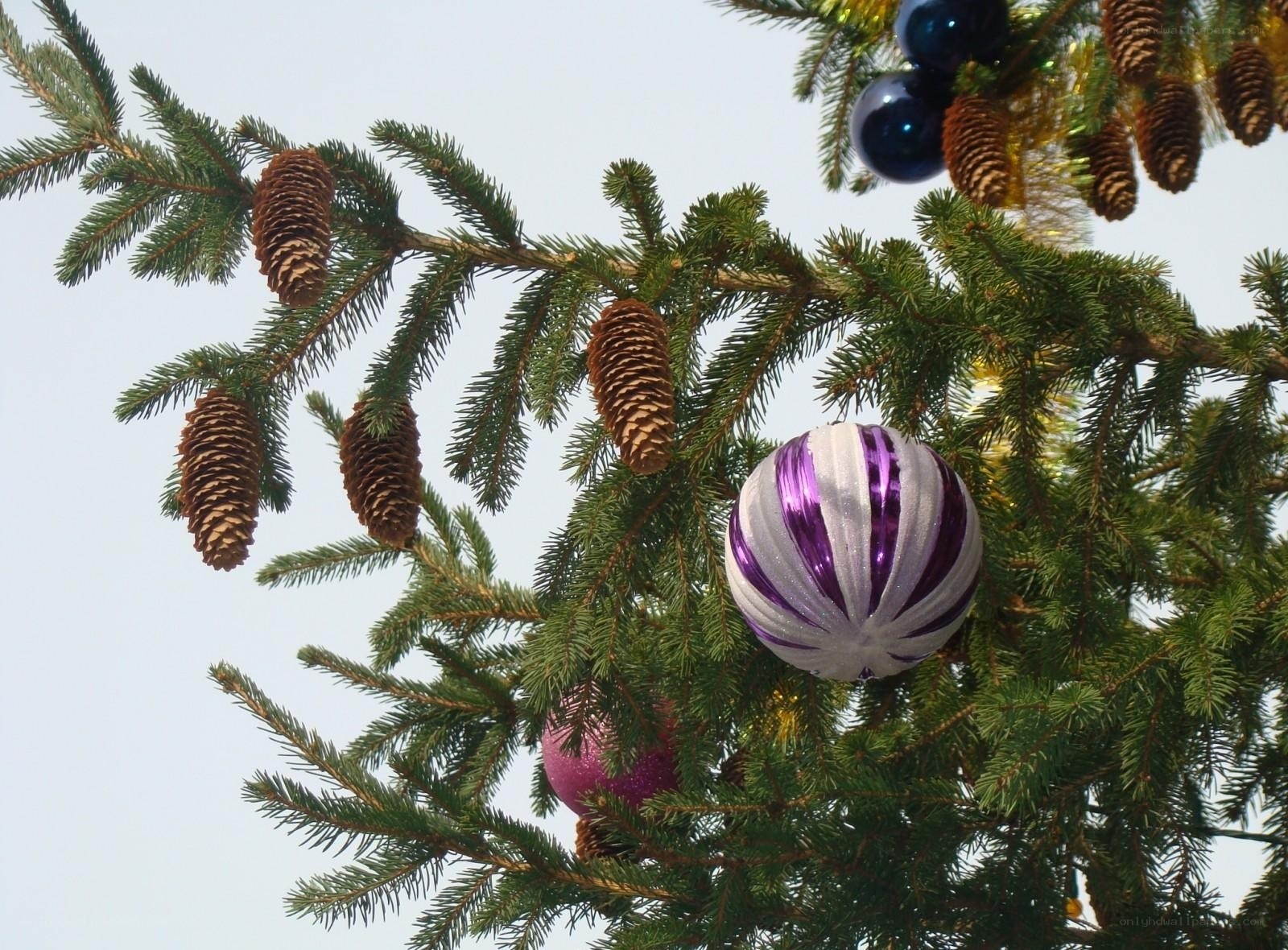Decorated pine branch with ornaments