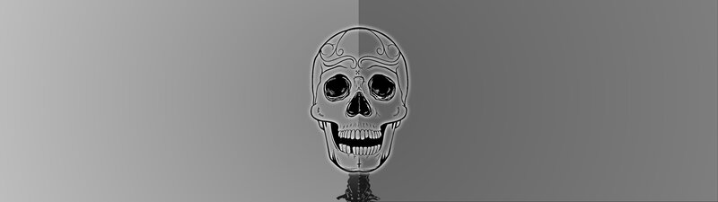 Decorated Skull Illustration — Gray