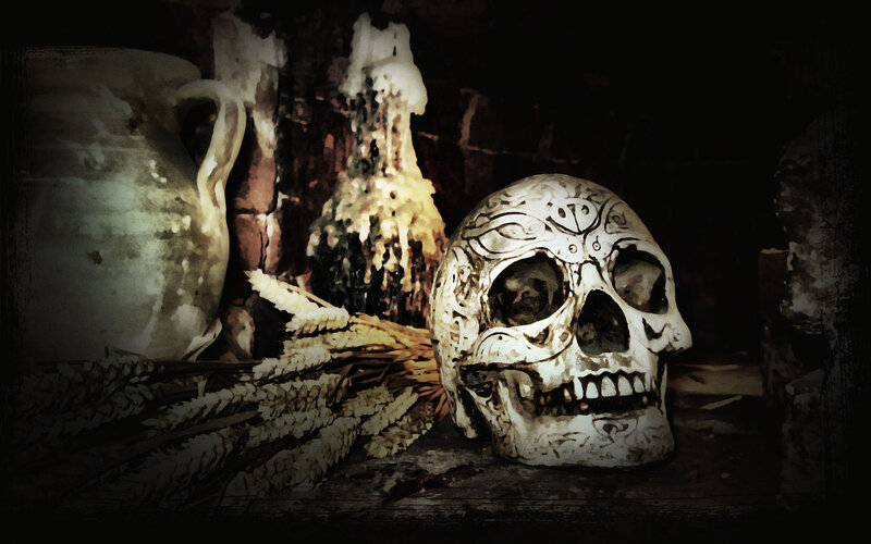 Decorated Skull on Shelf