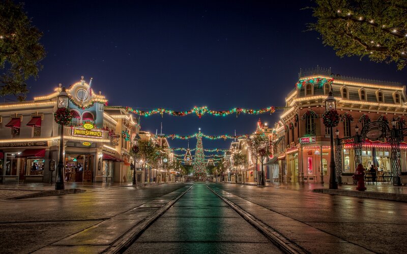 Decorated Street at Night — Green, Festive, Photograph, Christmas Tree