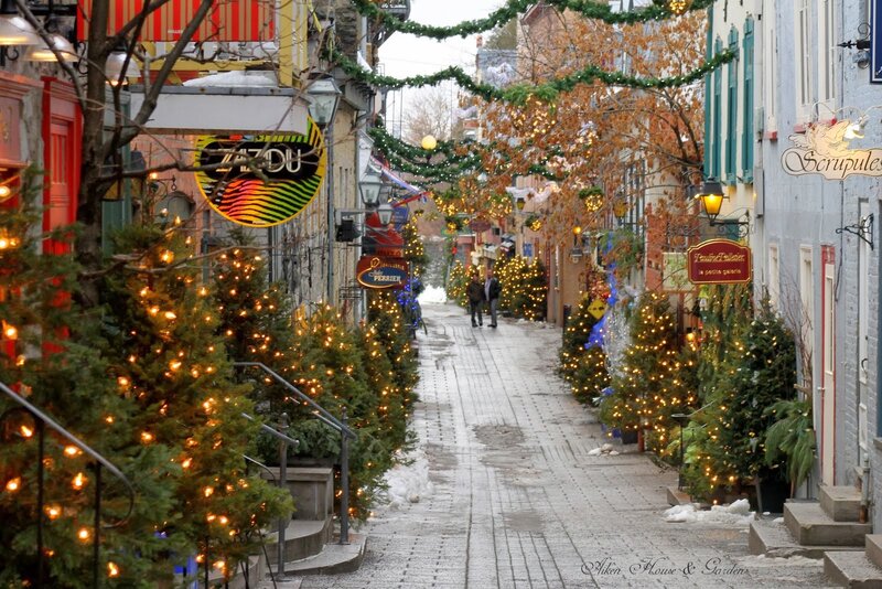 Decorated Street in Winter