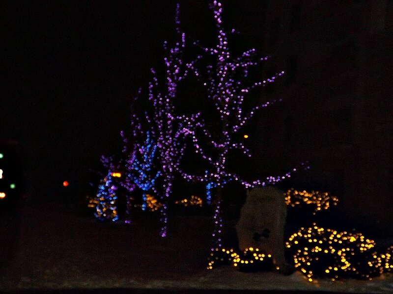 Decorated Tree at Night — Purple