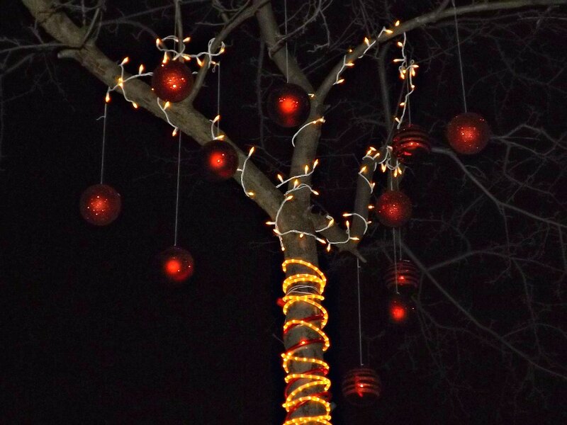 Decorated Tree at Night — Red