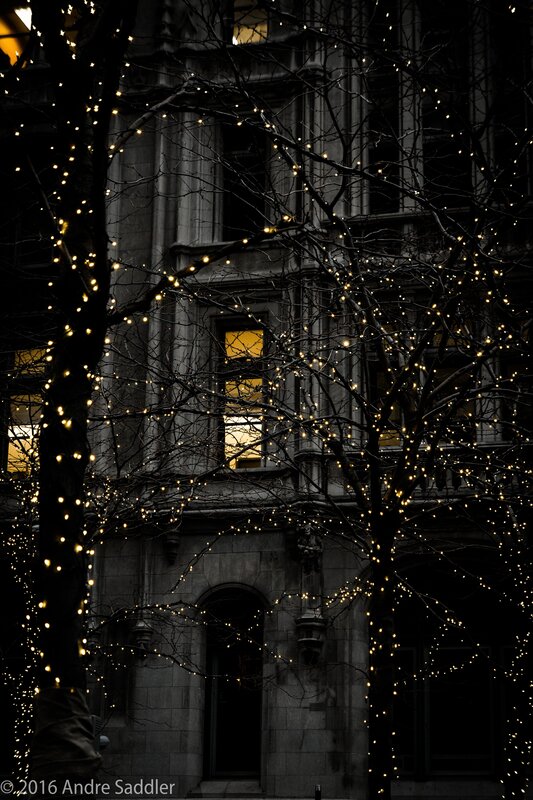 Decorated Tree Branches — Black