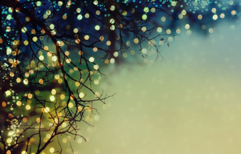 Decorated Tree Branches