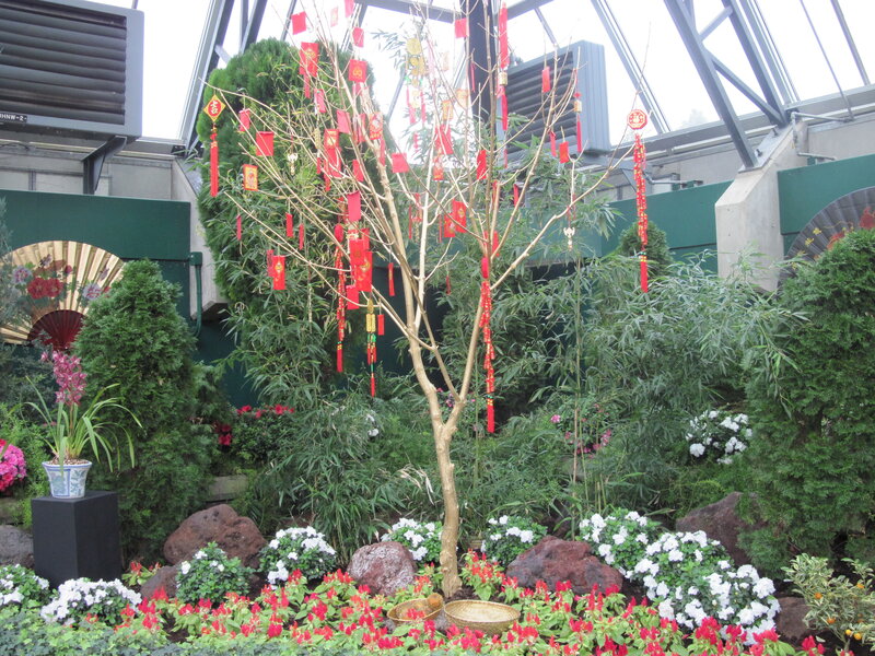 Decorated Tree in Garden — Red