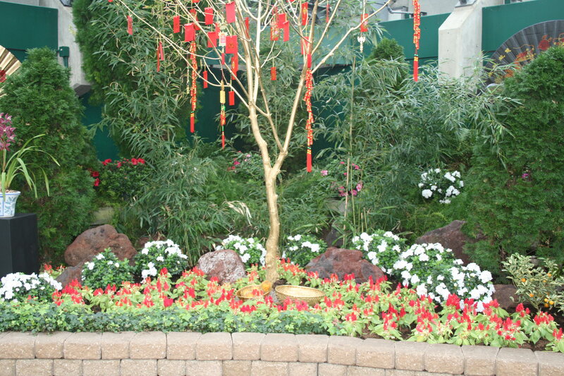 Decorated Tree in Garden