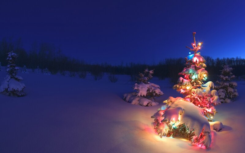 Decorated Tree in Snow — Blue, Serene, Night, Photograph, Lights