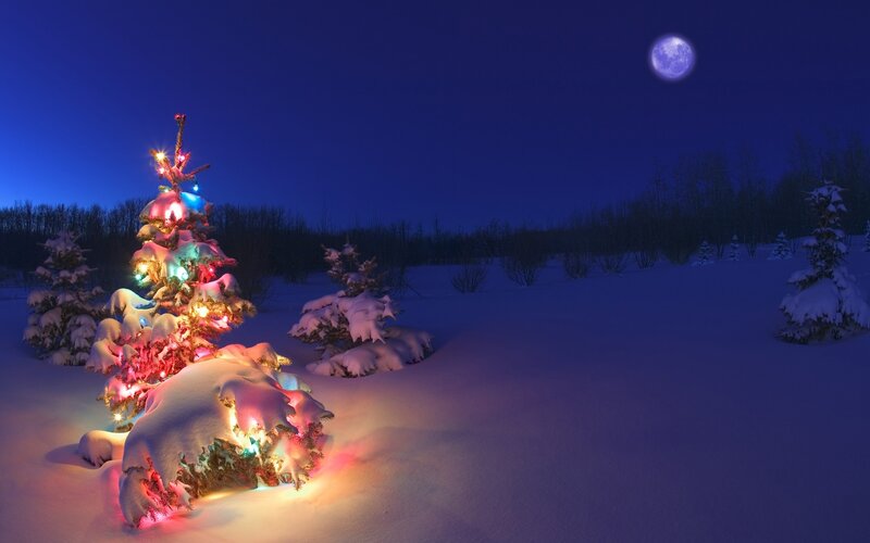 Decorated Tree in Snow — Blue, Serene, Night
