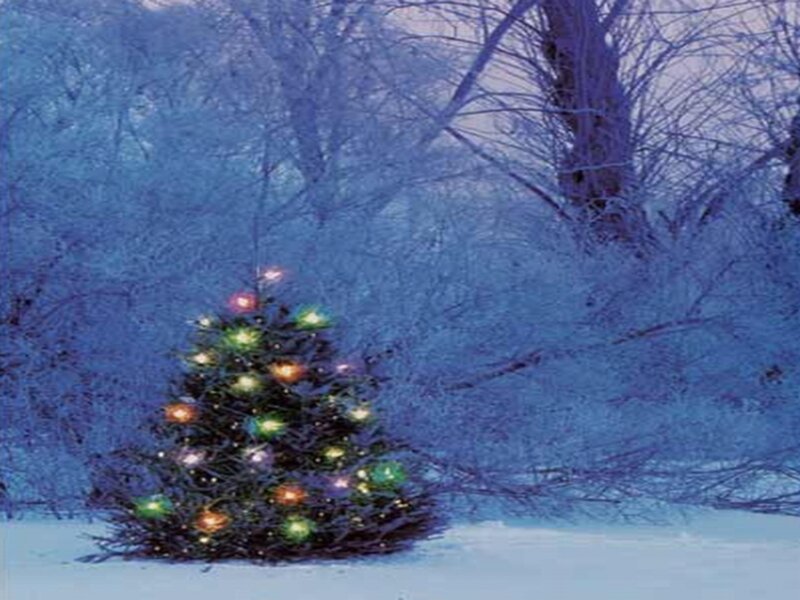 Decorated Tree in Snow — Blue, Serene