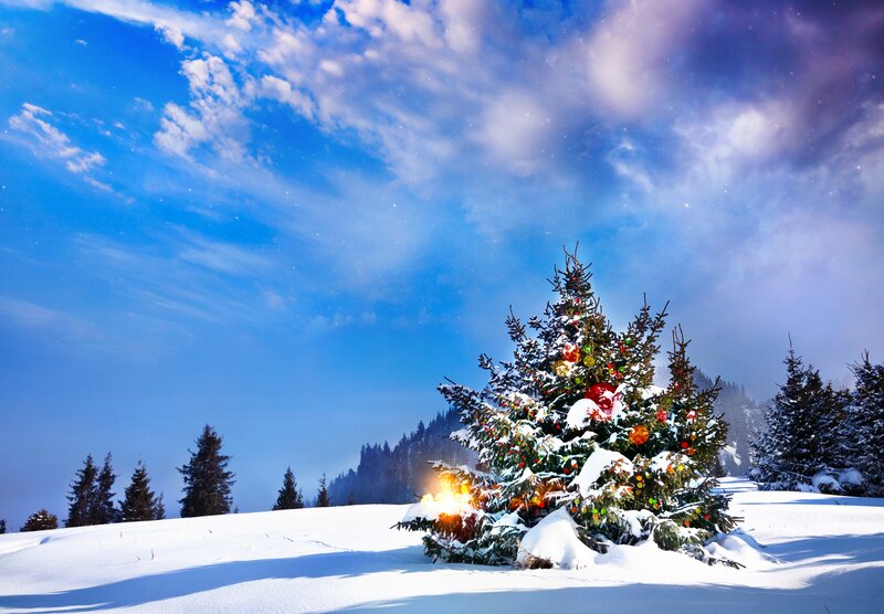 Decorated Tree in Snow — Blue, Serene, Winter, Photograph