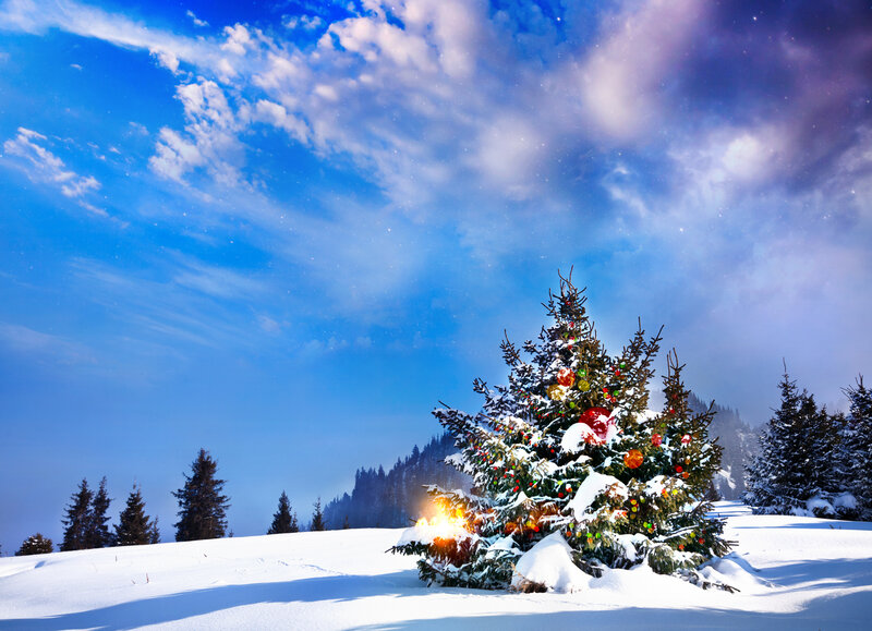 Decorated Tree in Snow — Blue, Serene, Winter
