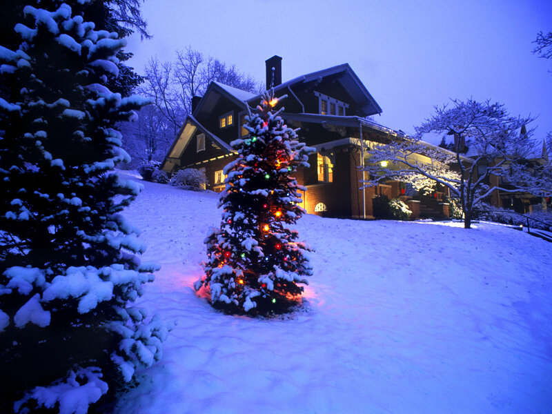 Decorated Tree in Snow — Blue