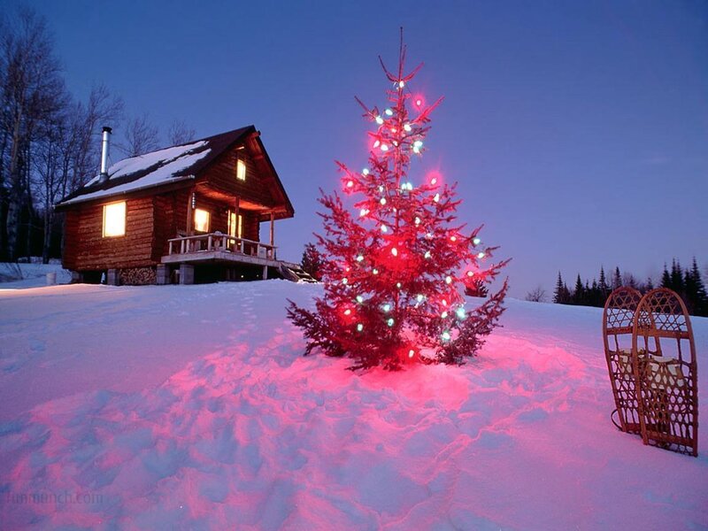 Decorated Tree in Snow — Red, Serene