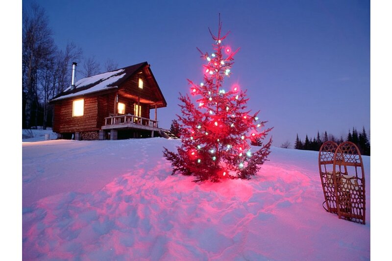 Decorated Tree in Snow — Red