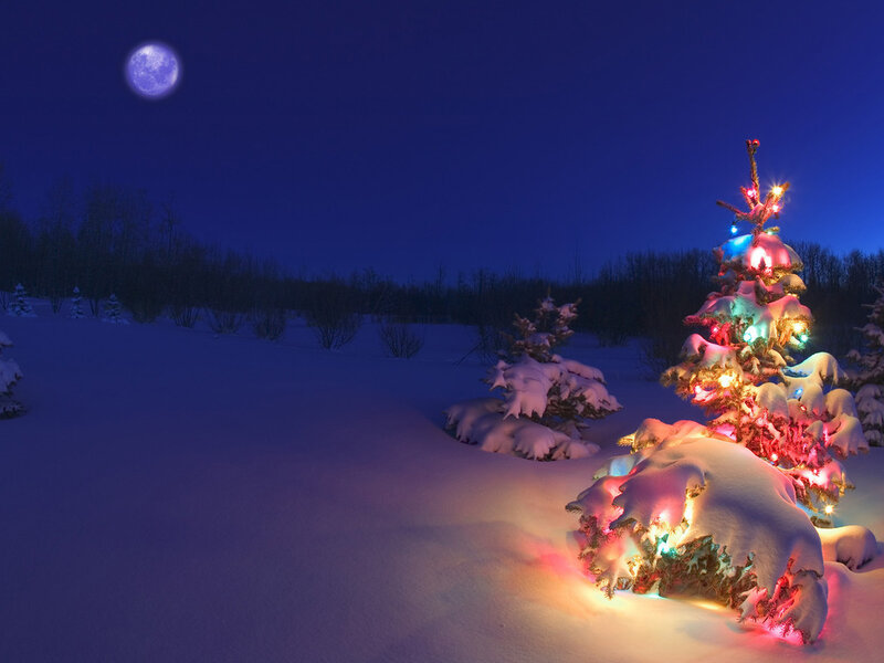 Decorated Tree in Snow