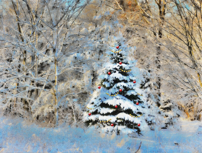 Decorated Tree in Snow — White, Serene