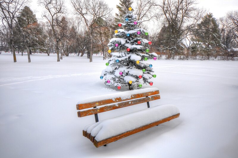 Decorated Tree in Snow — White, Serene, Winter
