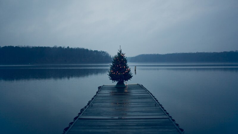 Decorated Tree on Dock