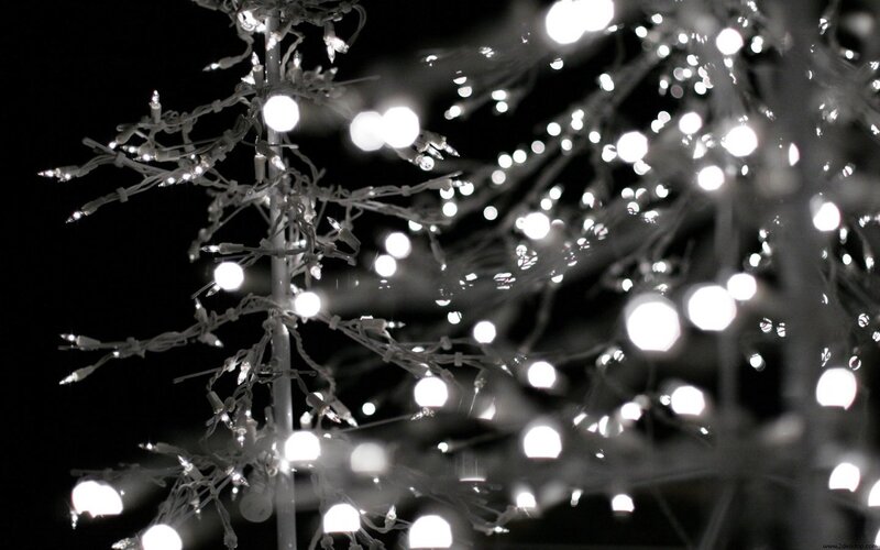 Decorated Tree with Lights — White, Calm