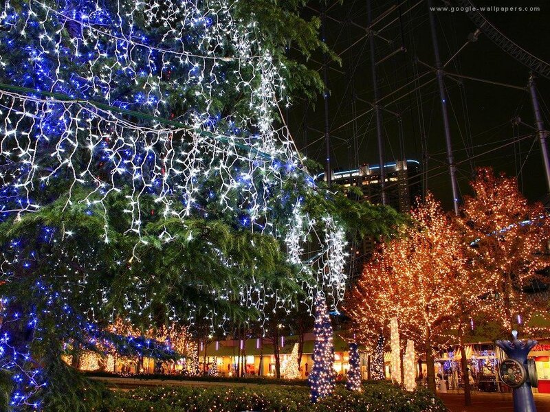 Decorated Trees at Night — Blue