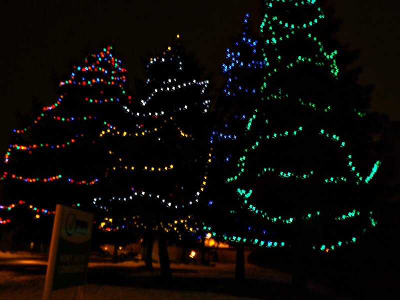 Decorated Trees at Night — Green