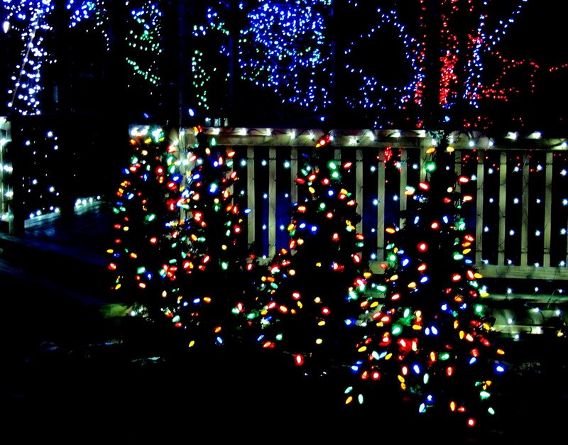 Decorated Trees at Night — Red