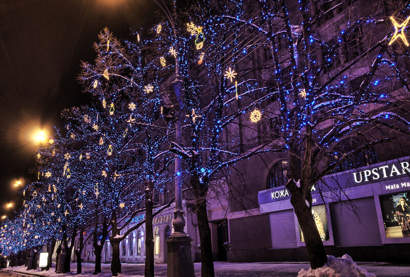 Decorated Trees at Night