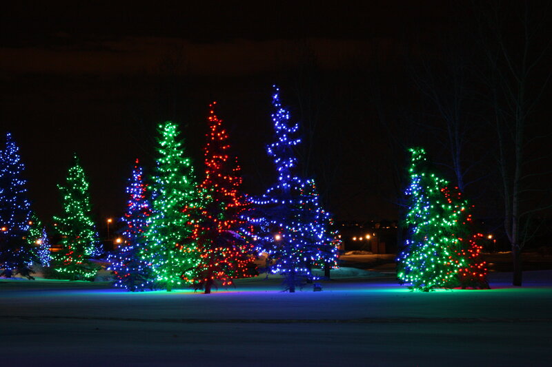Decorated Trees in Snow — Green