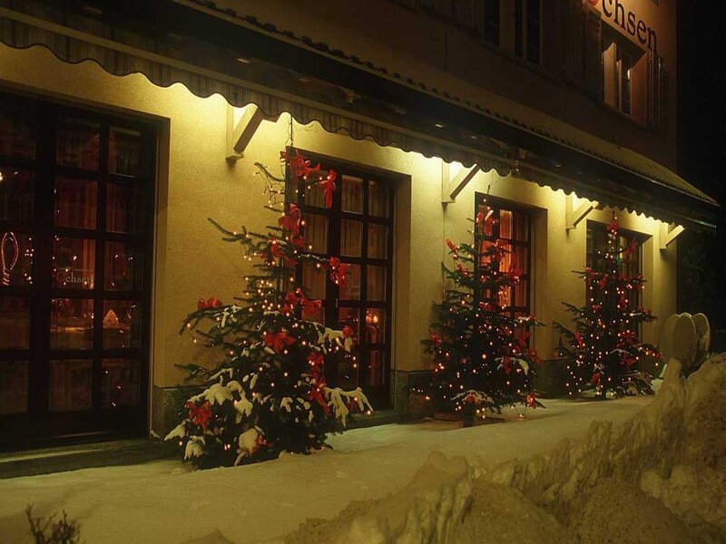 Decorated Trees in Snow — White