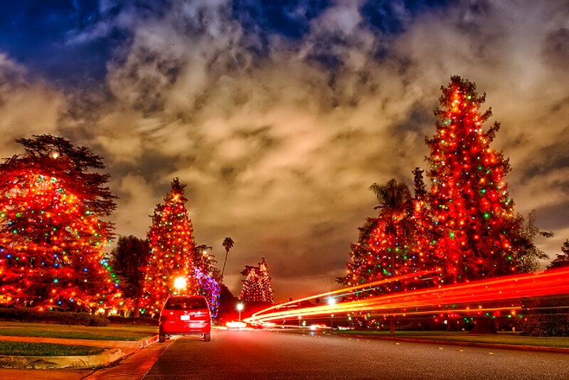 Decorated Trees on Street