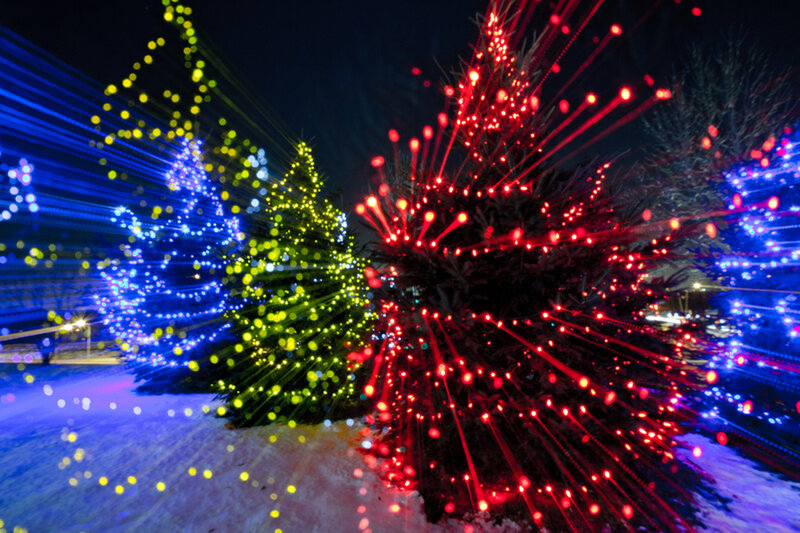 Decorated Trees with Lights