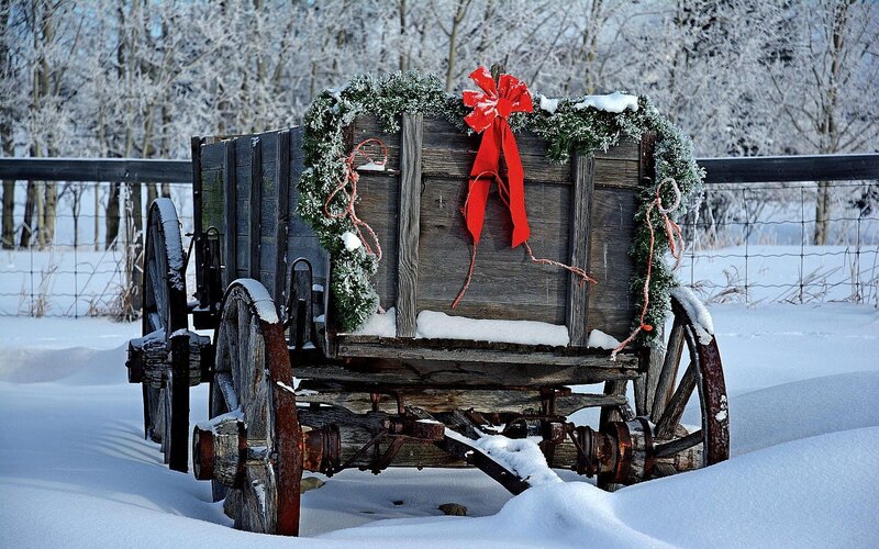 Decorated Wagon in Snow — White