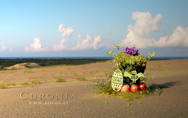 Decorative Arrangement on Sand