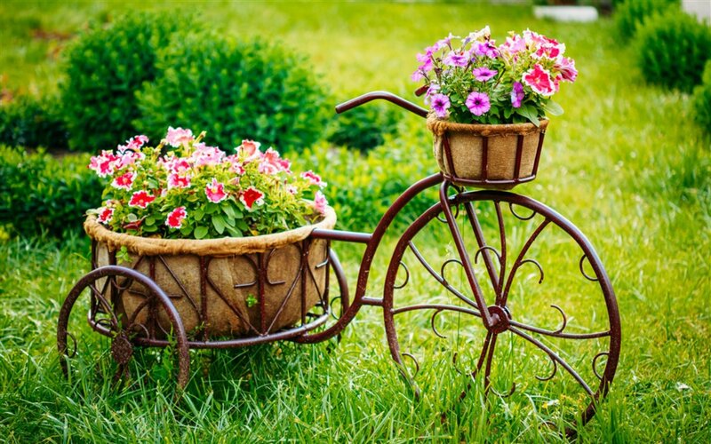 Decorative Bicycle Planter — Green, Serene, Afternoon