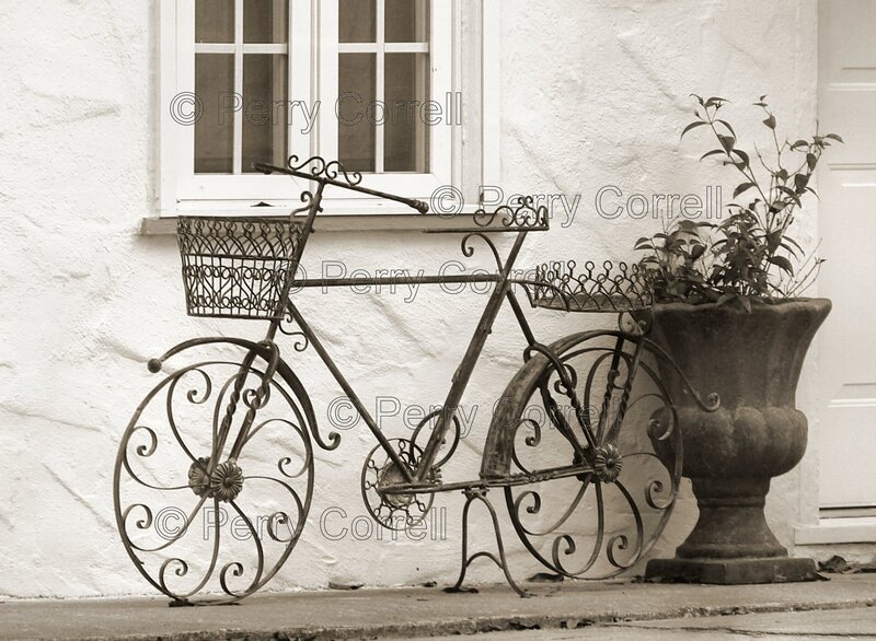 Decorative bicycle planter