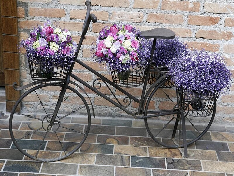 Decorative Bicycle with Flowers — Purple, Calm, Photograph
