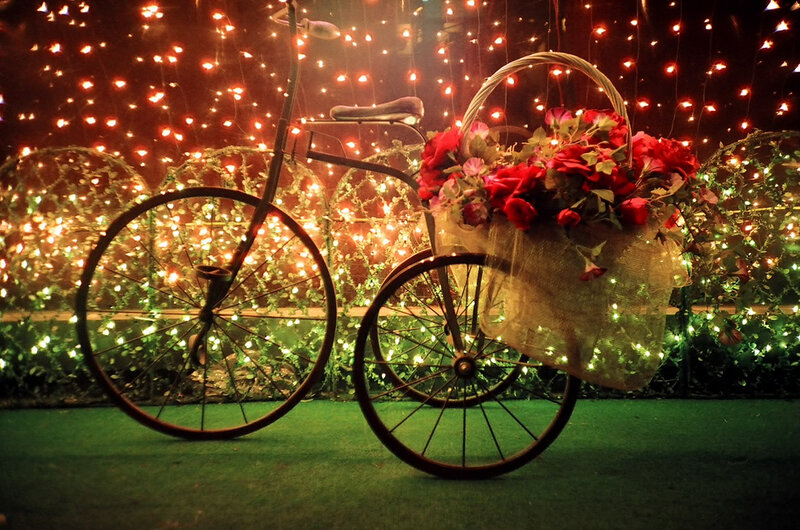 Decorative Bicycle with Flowers — Red