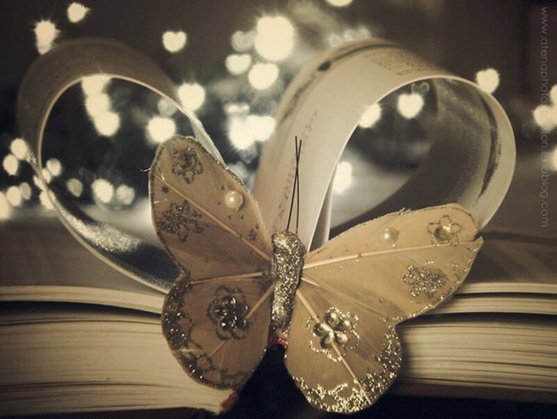 Decorative Butterfly on Book