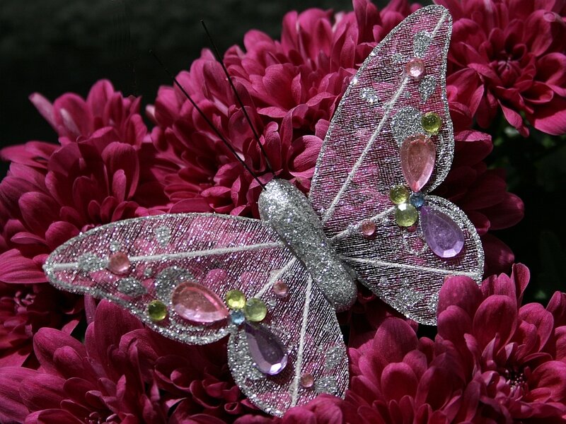 Decorative Butterfly on Flowers — Pink
