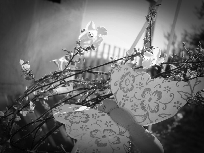 Decorative Butterfly on Flowers